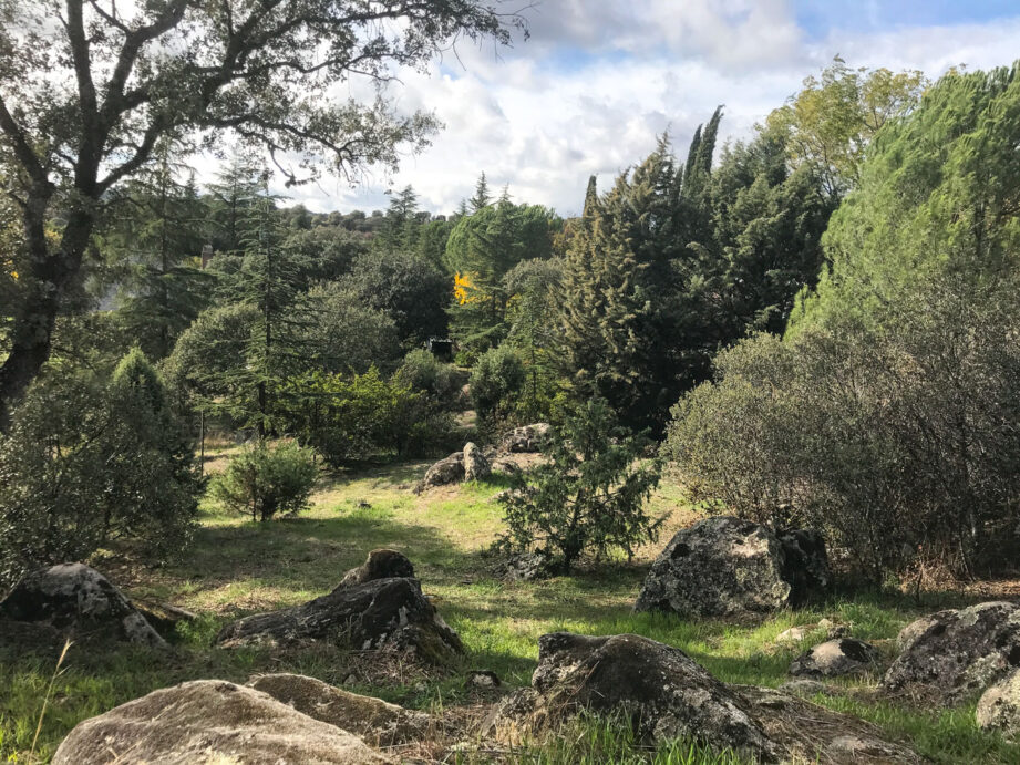Unique Houses Casa Negra Terreno 1