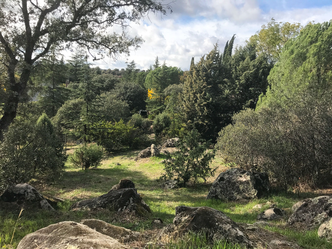 La Casa Negra: El terreno