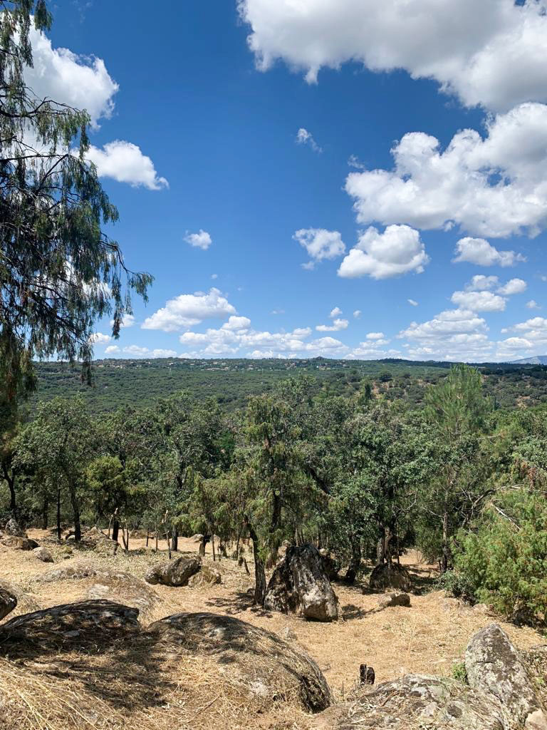 Unique Houses Casa Negra Terreno 3